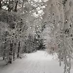 Πανσιόν A Pegas Nove Mesto na Morave