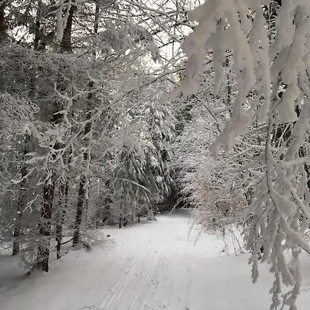 Gasthuis A Pegas Nove Mesto na Morave
