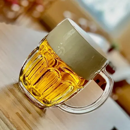 Konukevi A Pegas